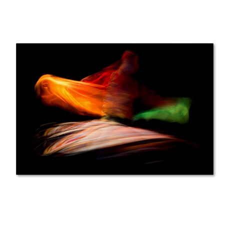 Trademark Fine Art Mahmoud Fayed 'The Mirror Of Soul' Canvas Art, 12x19 1X02865-C1219GG